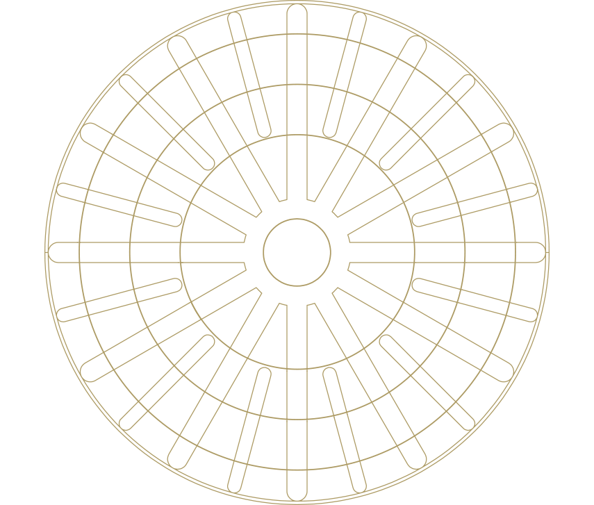 MODULI MAGNETICI